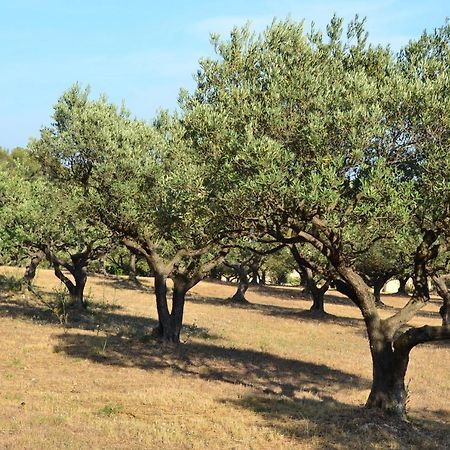 La Villa Provencale Lorgues Eksteriør billede