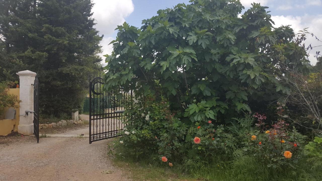 La Villa Provencale Lorgues Eksteriør billede
