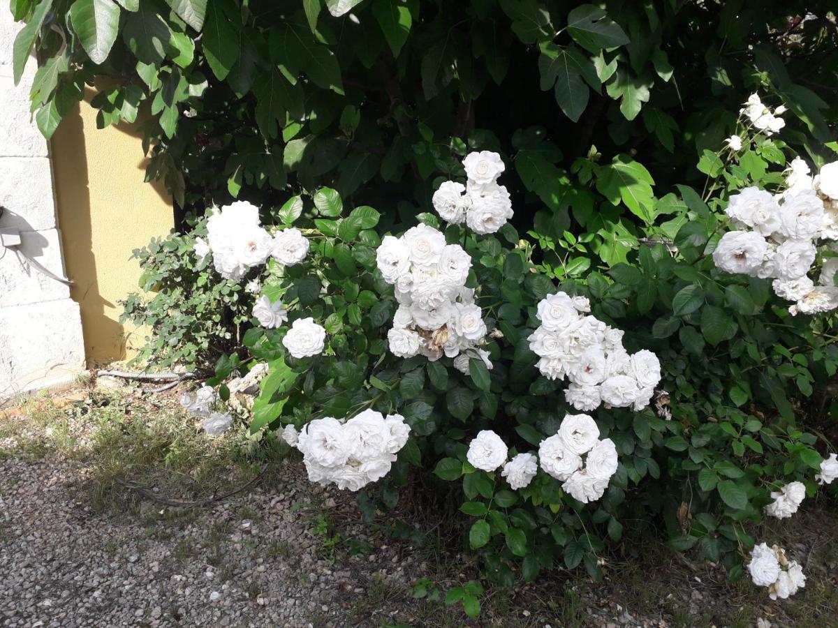 La Villa Provencale Lorgues Eksteriør billede
